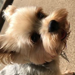 Meet your Posher, Halila